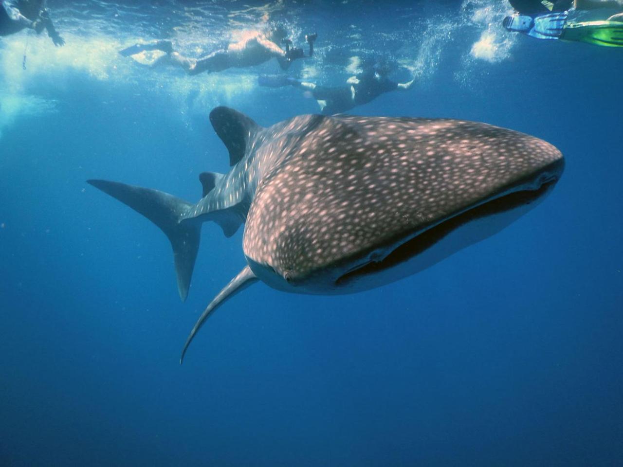 Dharavandhoo Stay ภายนอก รูปภาพ