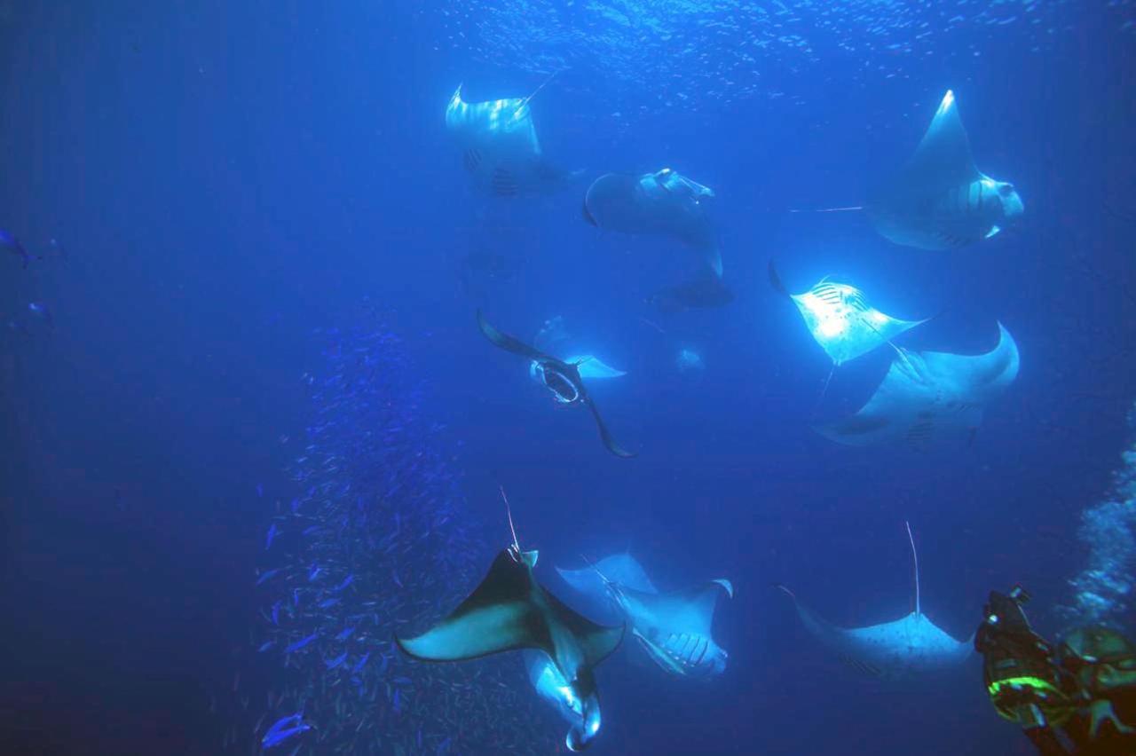 Dharavandhoo Stay ภายนอก รูปภาพ