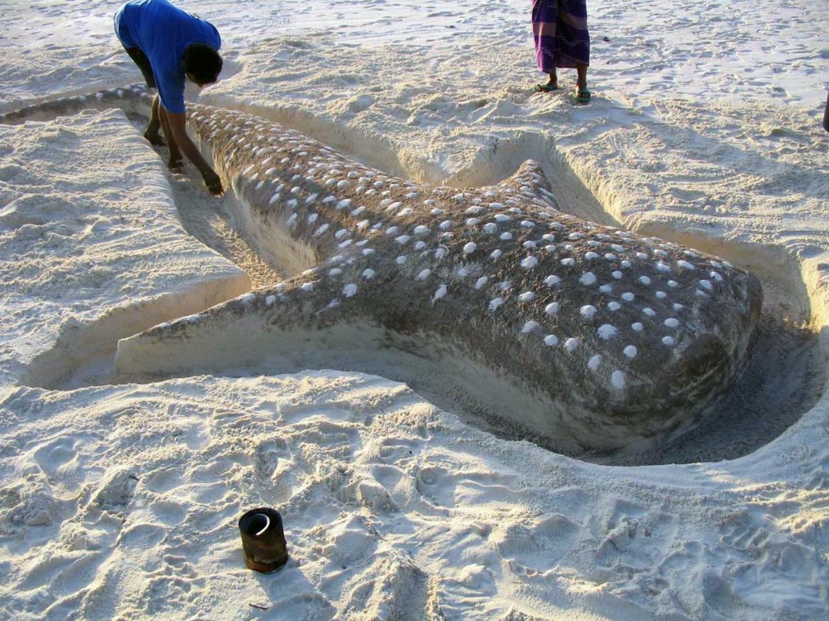 Dharavandhoo Stay ภายนอก รูปภาพ